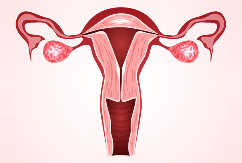 女性不孕症诊断与治疗