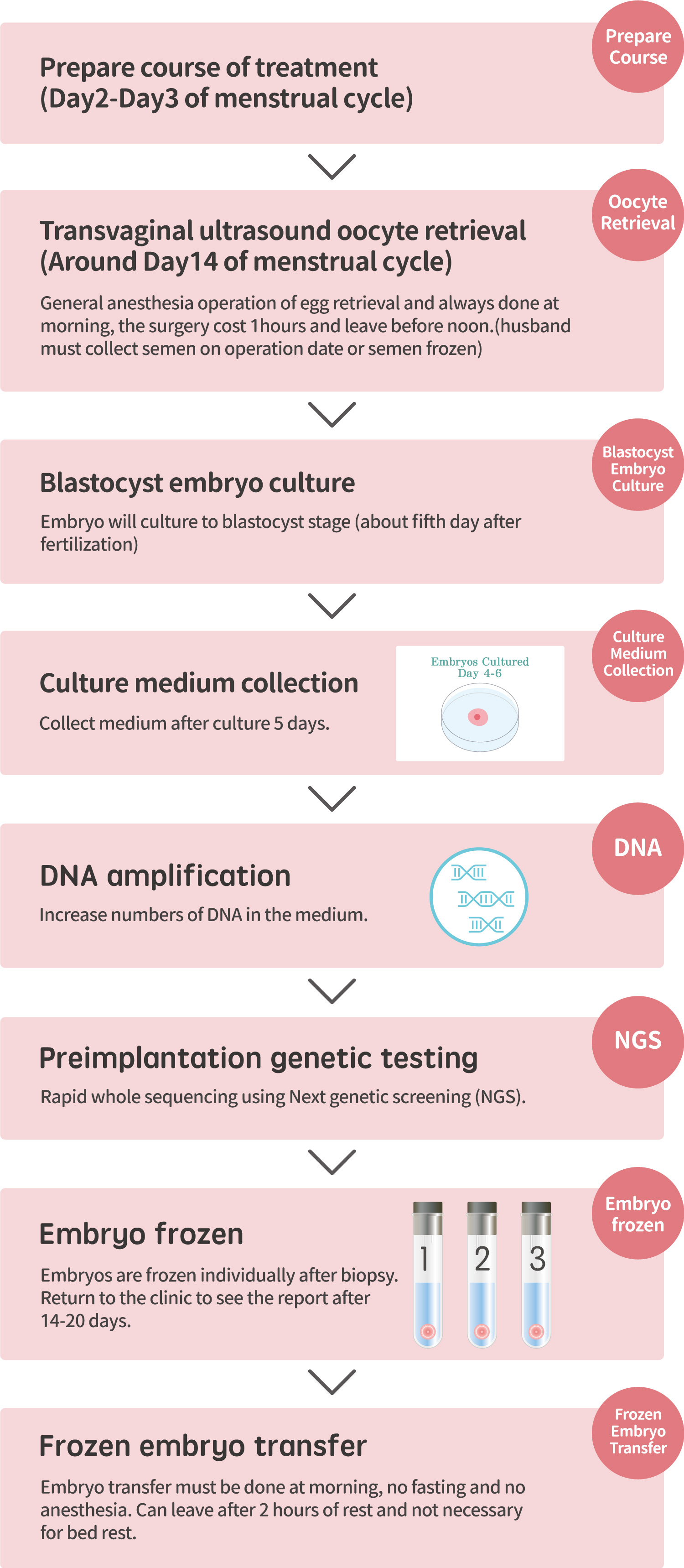 非侵入性胚胎染色體篩檢(niPGT-A)流程說明